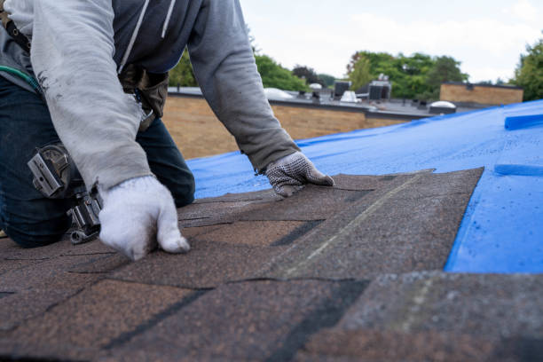 Roof Gutter Cleaning in Wellsville, KS