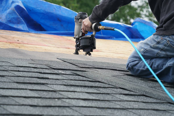 Best Roof Gutter Cleaning  in Wellsville, KS